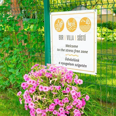 Bor, Villa, Sóstó Nyíregyháza