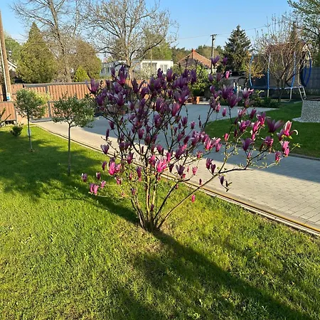 Bor, Villa, Sosto Mestecǎneşti