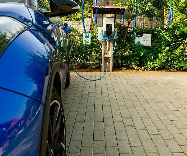 Bor, Villa, Sosto Апартаменты *