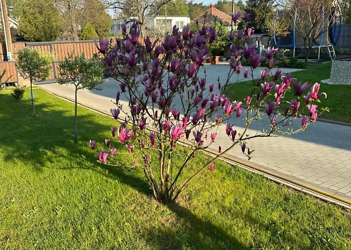 Bor, Villa, Sosto Ньиредьхаза